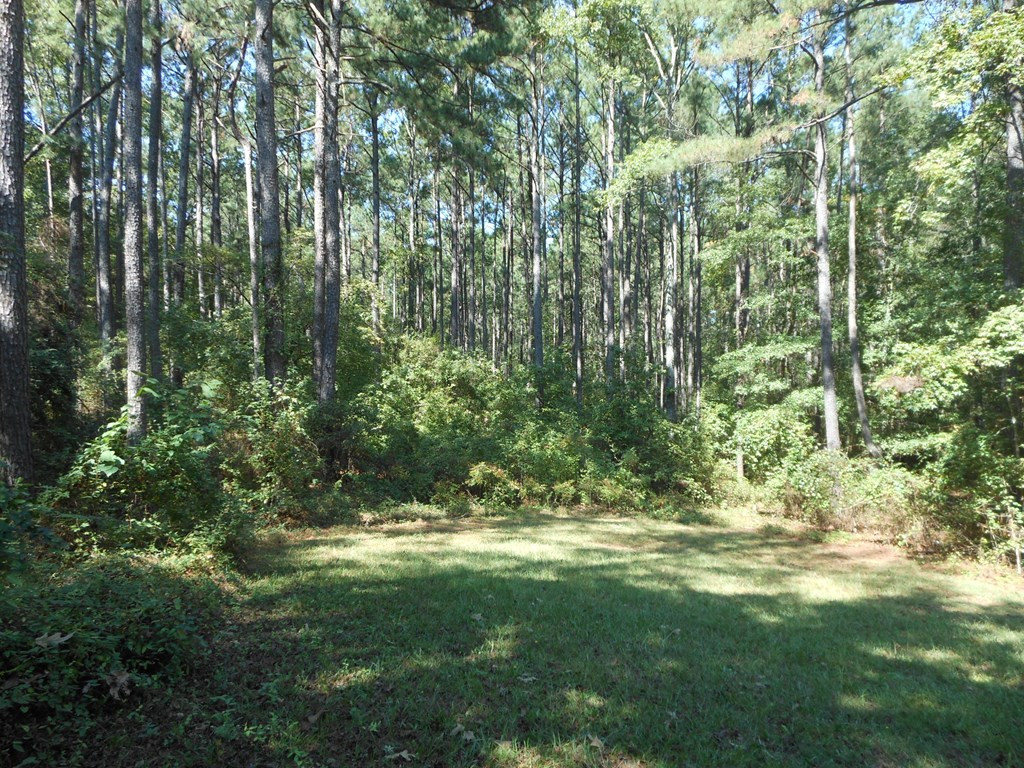 3751 Larkin Road Dearing, GA 30808 - Photo 3 of 12