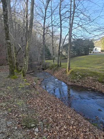 a view of a yard with a tree