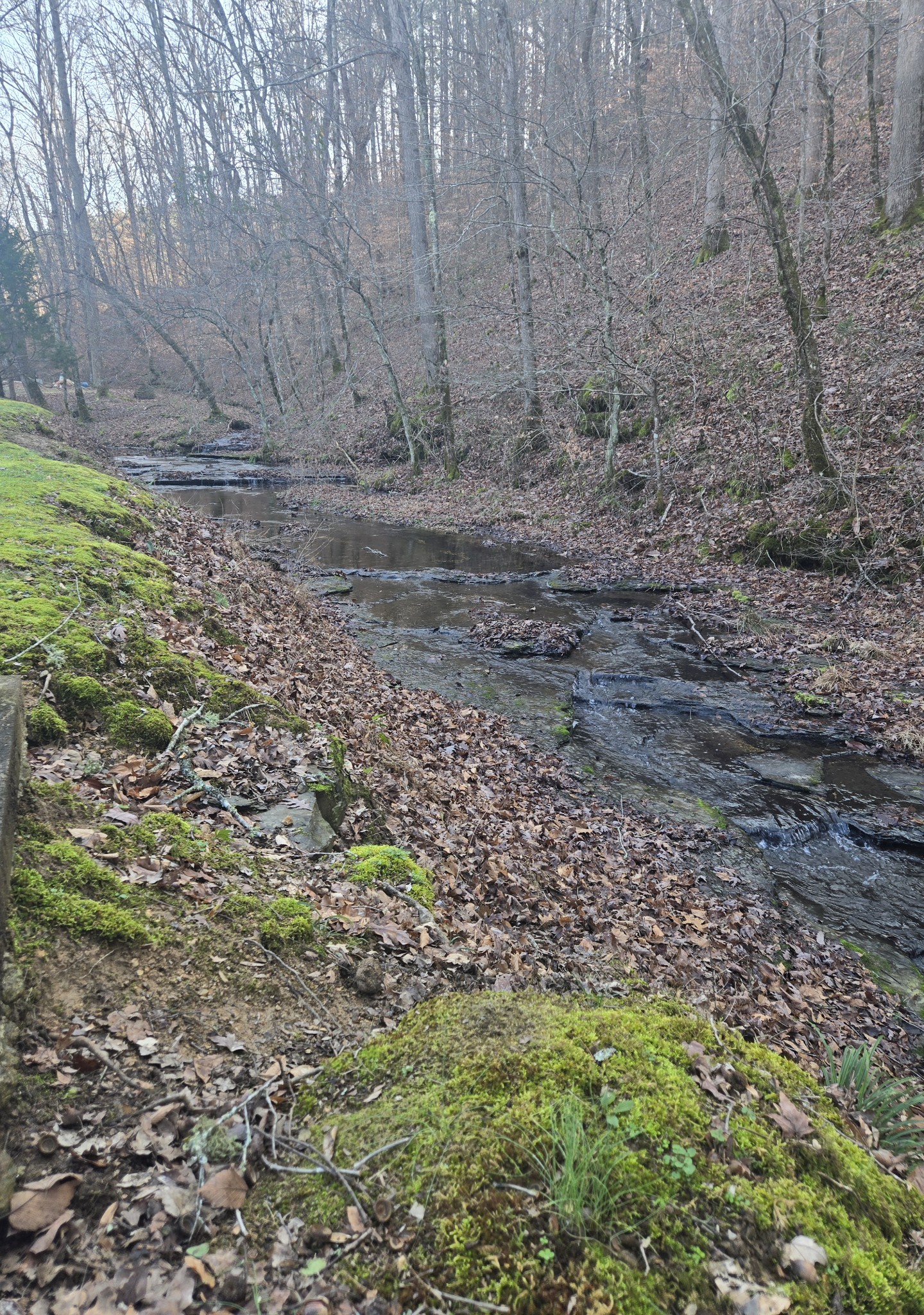 2130 Irwin Branch Road Waynesboro, TN 38485 - Photo 33 of 33