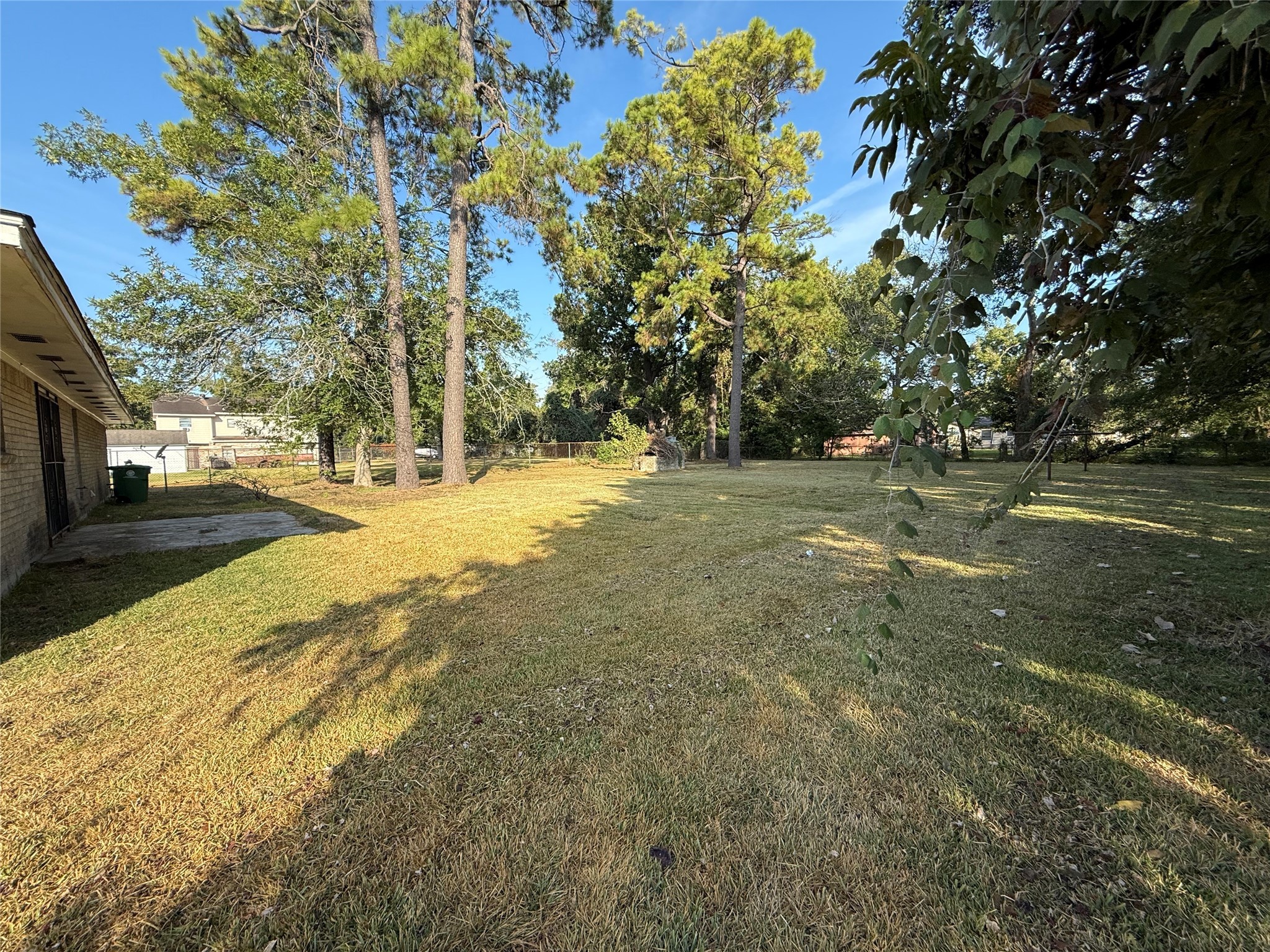 7325 Ley Road Houston, TX 77028 - Photo 39 of 50 a view of dirt yard with a large trees
