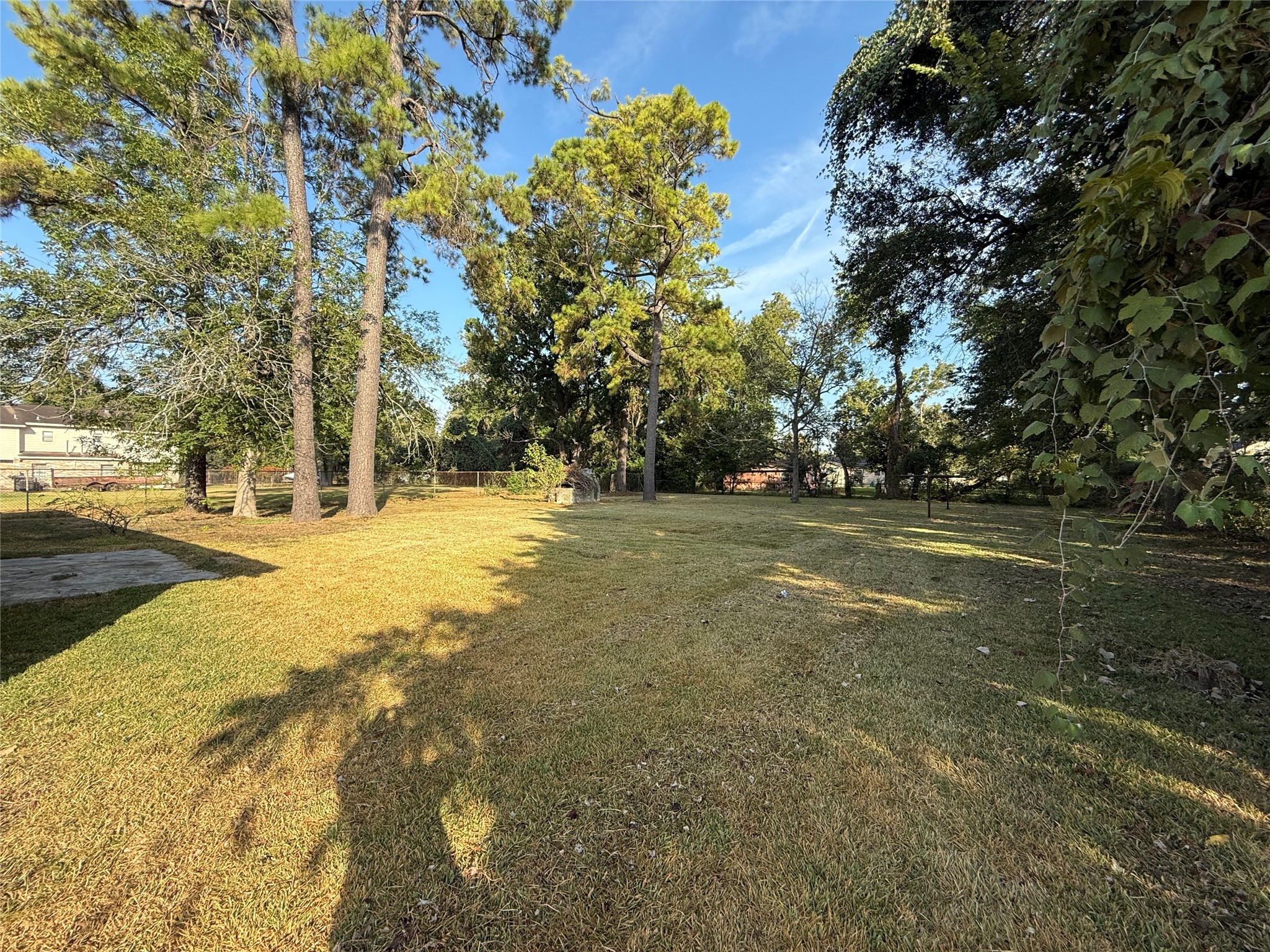 7325 Ley Road Houston, TX 77028 - Photo 40 of 50 a view of yard with tree