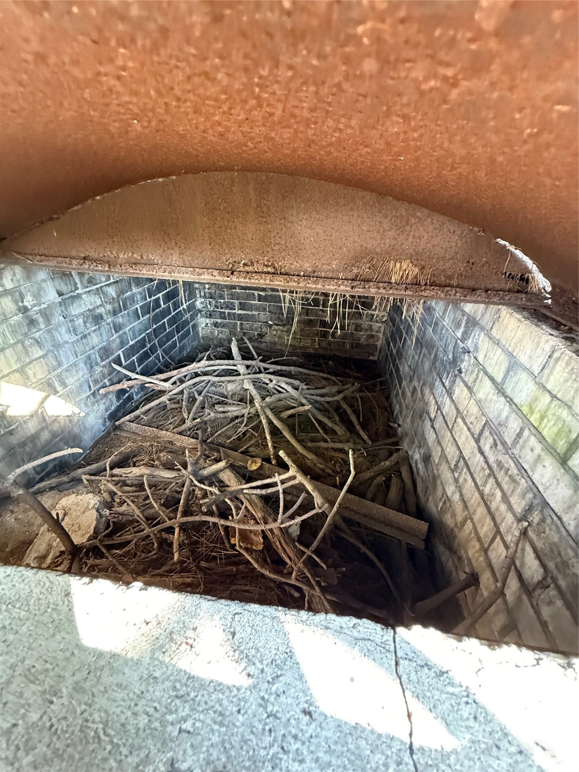 7325 Ley Road Houston, TX 77028 - Photo 45 of 50 a view of a backyard of the house