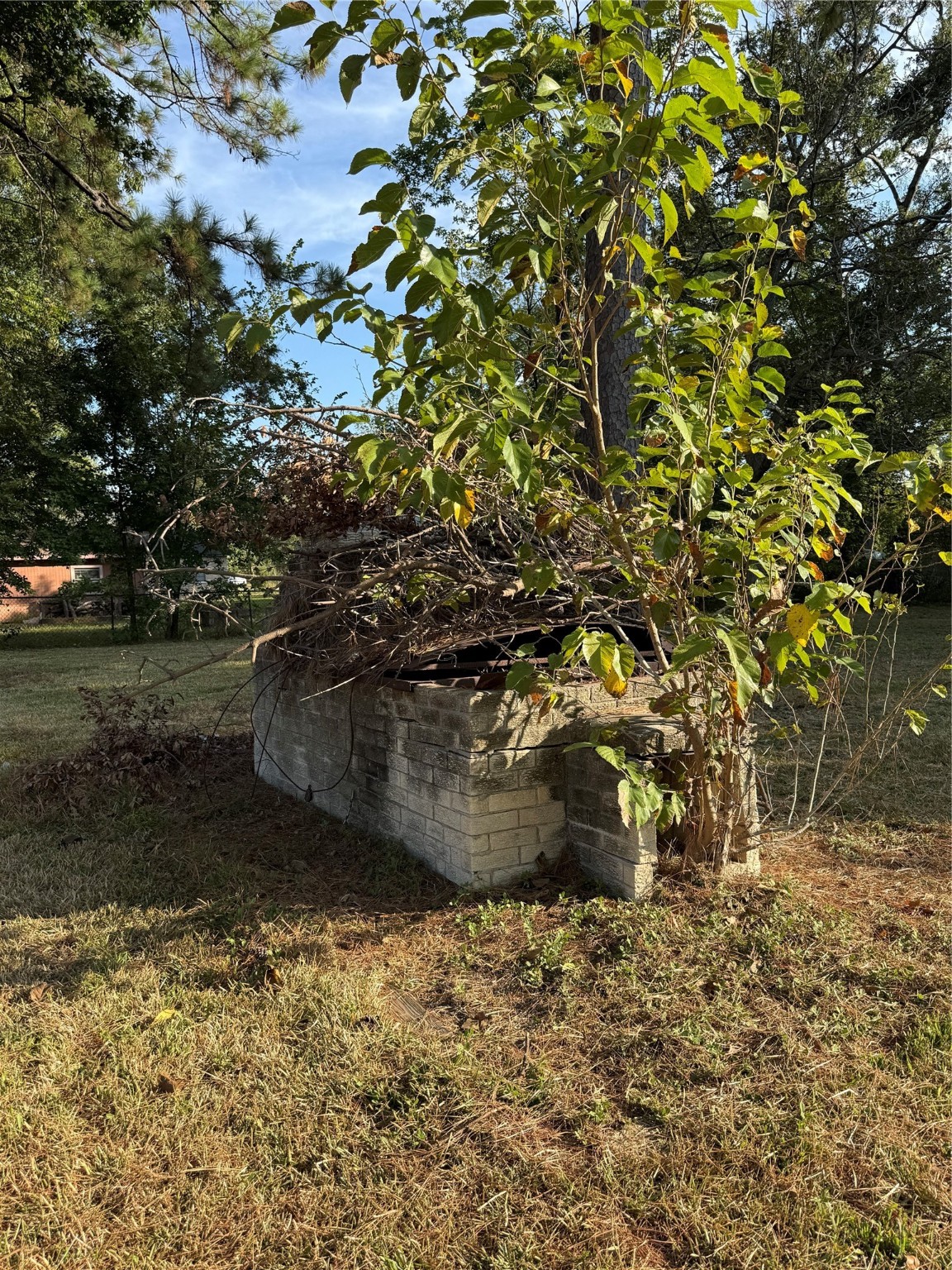 7325 Ley Road Houston, TX 77028 - Photo 49 of 50 a view of a yard