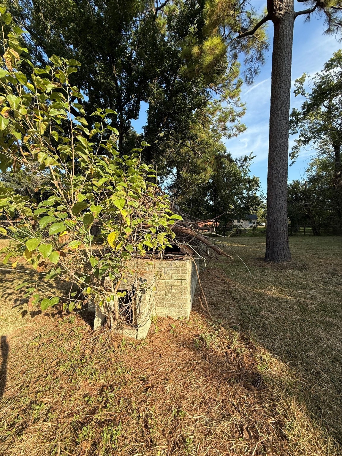 7325 Ley Road Houston, TX 77028 - Photo 50 of 50 a view of a yard with yellow house
