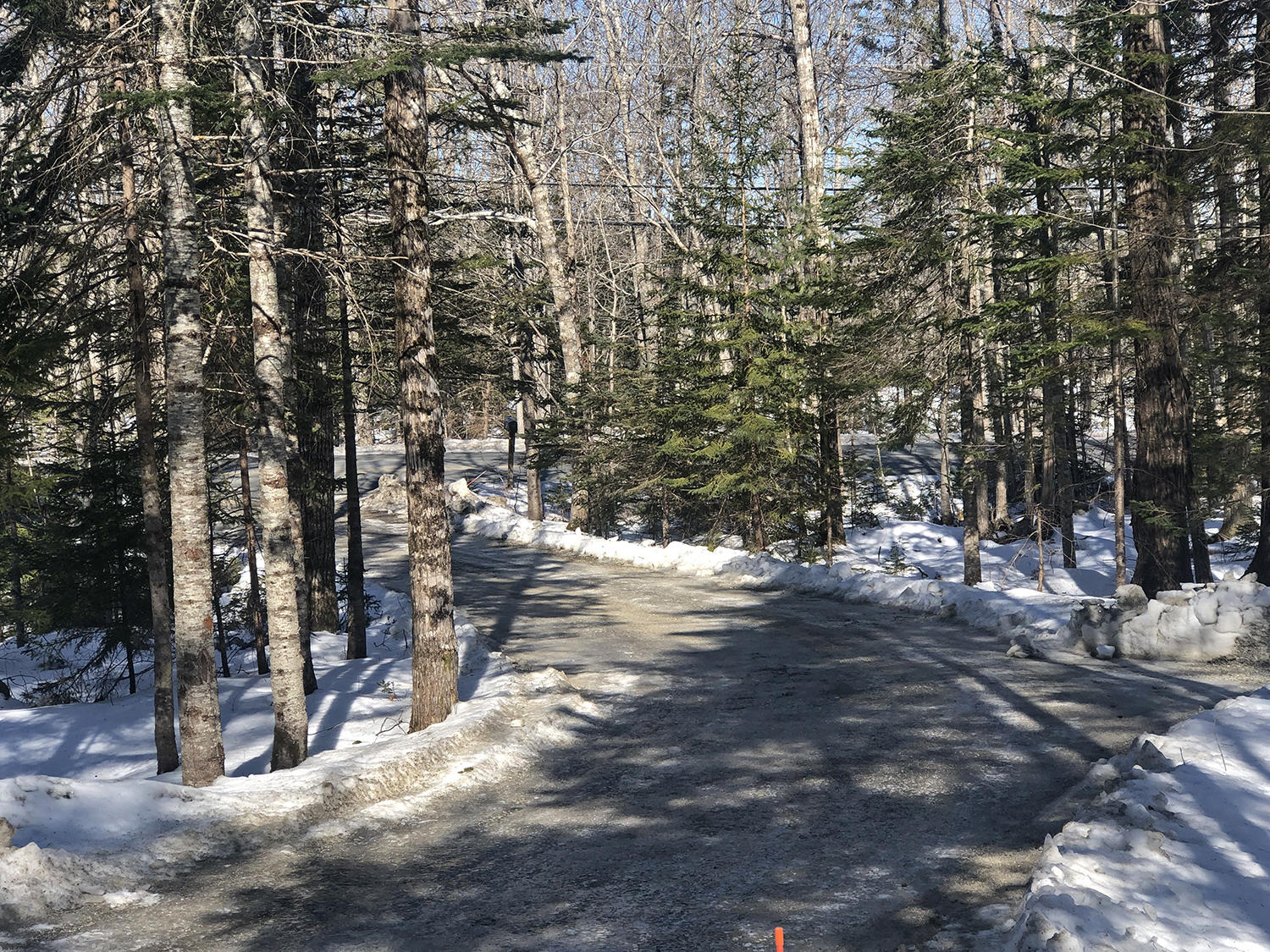 752 Crooked Road Bar Harbor, ME 04609 - Photo 2 of 47 IMG_6020