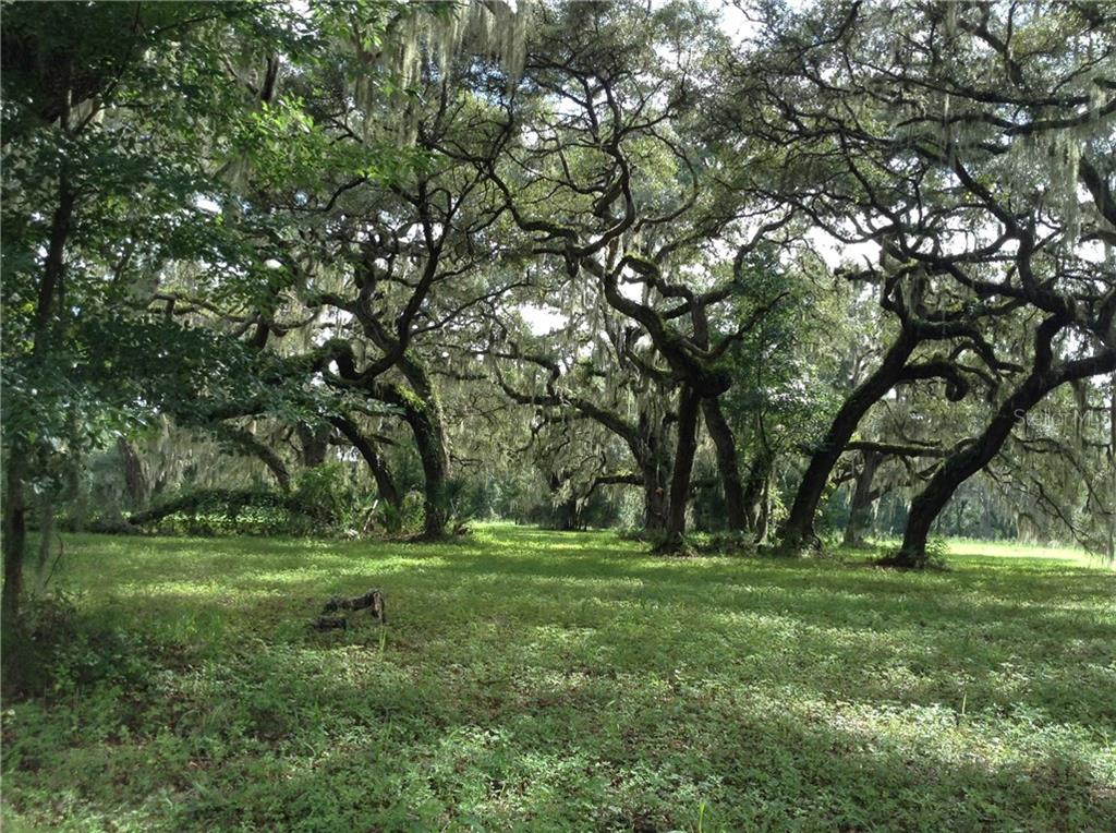265 Georgetown Shortcut Road Crescent City, FL 32112 - Photo 1 of 1 Picturesque majestic oaks