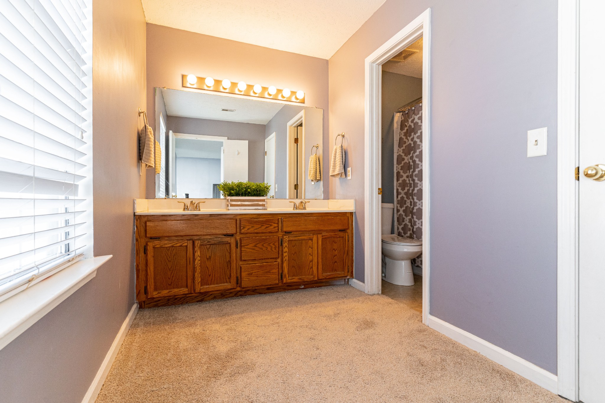 1016 Aldersgate Road Antioch, TN 37013 - Photo 19 of 31 a bathroom with a double vanity sink a mirror and a bathtub