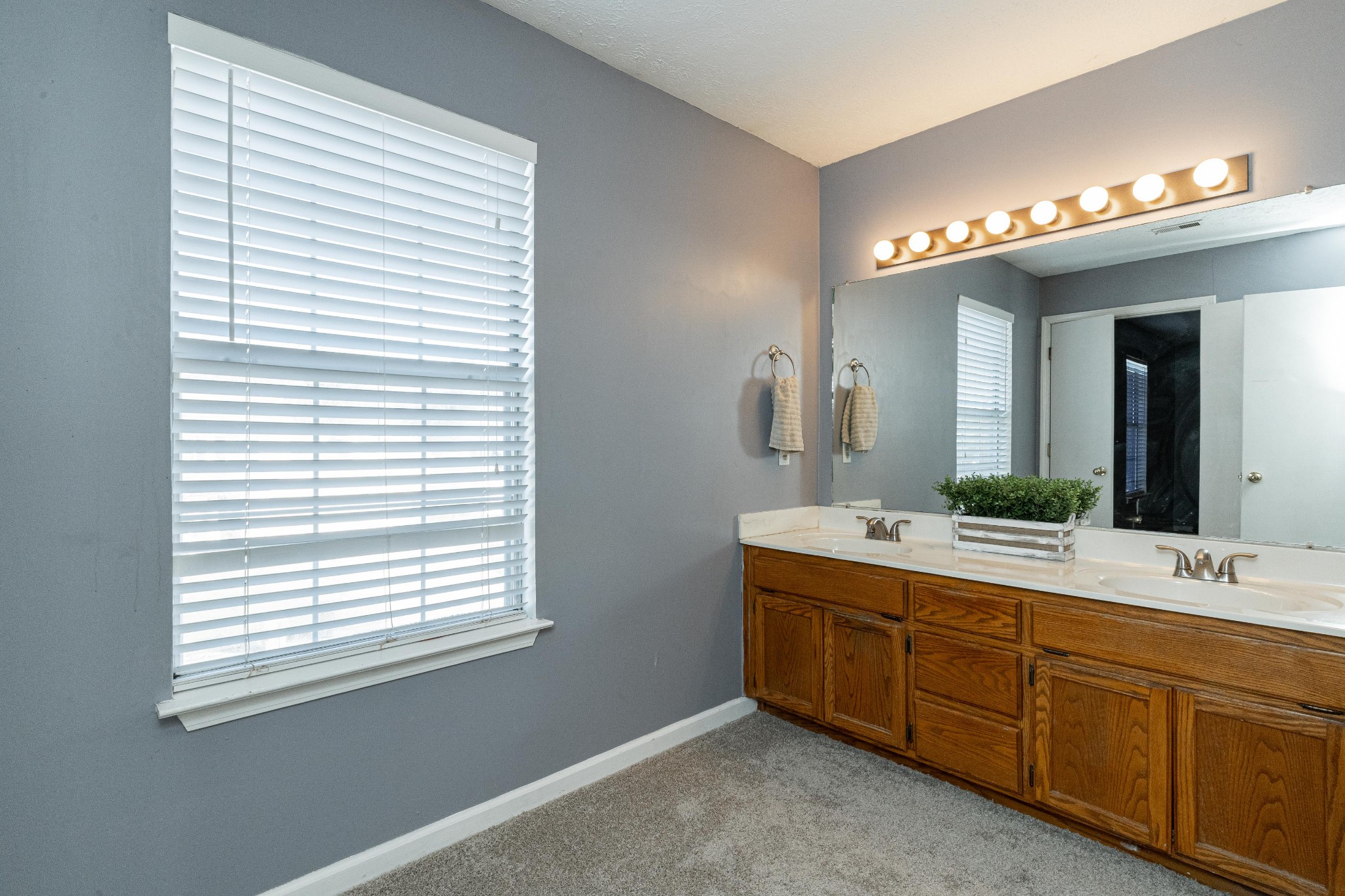 1016 Aldersgate Road Antioch, TN 37013 - Photo 20 of 31 a spacious bathroom with a double vanity sink and a mirror