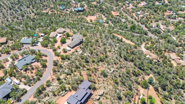a view of a tree in a field with a tree in the background