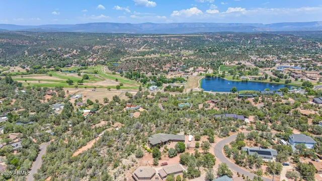 a close up of a plant