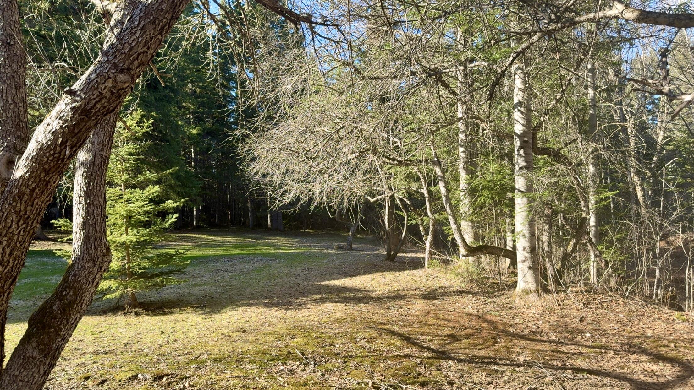 388 Creasey Ridge Road Mapleton, ME 04757 - Photo 7 of 54 IMG_5386