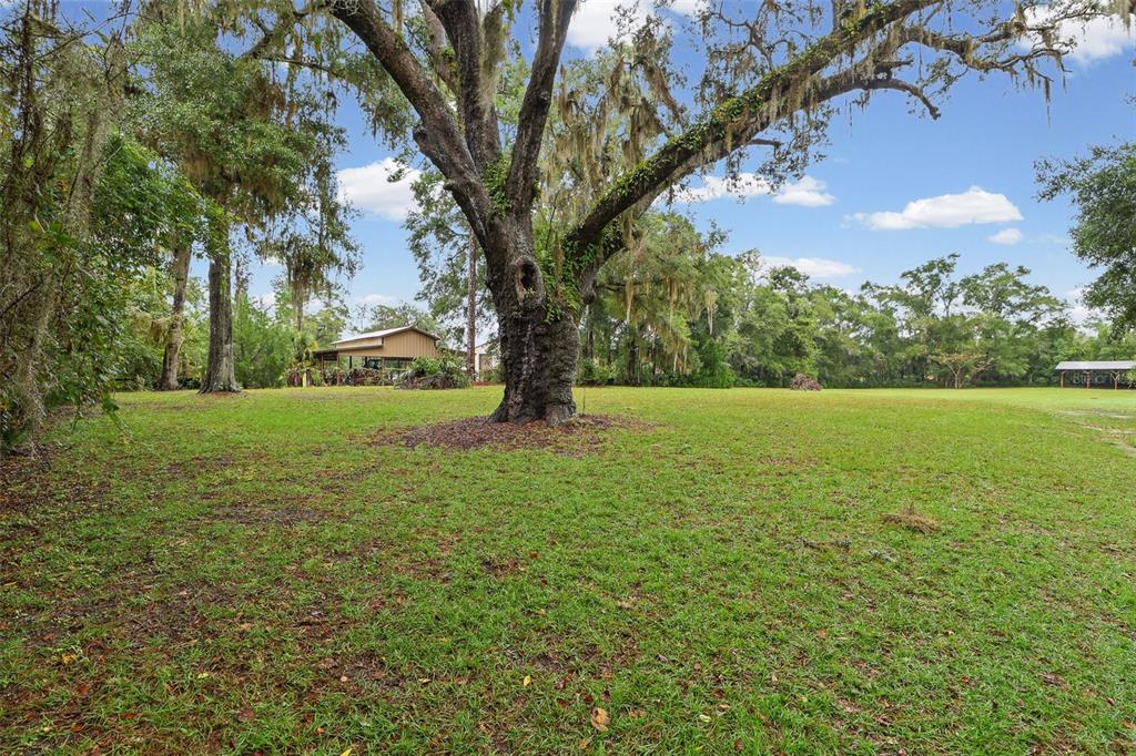 420 North Court Street Bronson, FL 32621 - Photo 41 of 51 Gallery Image 41
