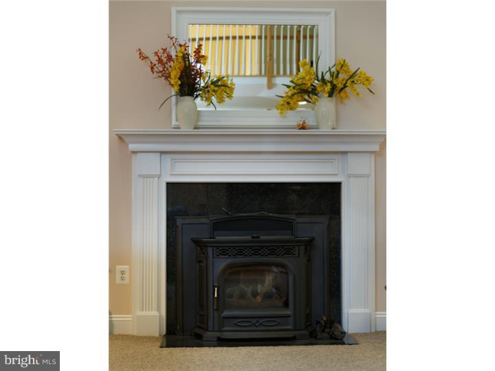 10 Log Cabin Road Perkasie, PA 18944 - Photo 16 of 19 Fireplace