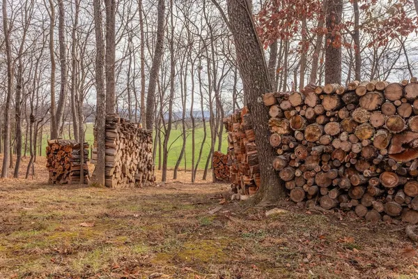 a view of a yard with wooden fence