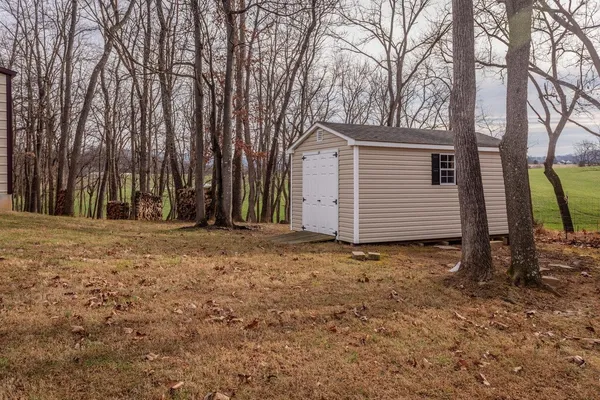 a view of a backyard with large trees