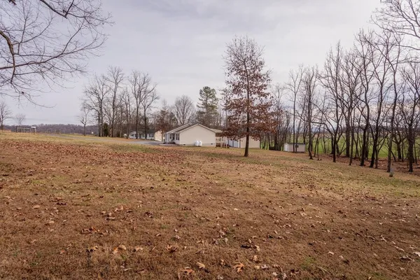 a view of outdoor space with trees