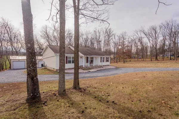 a view of a yard with trees