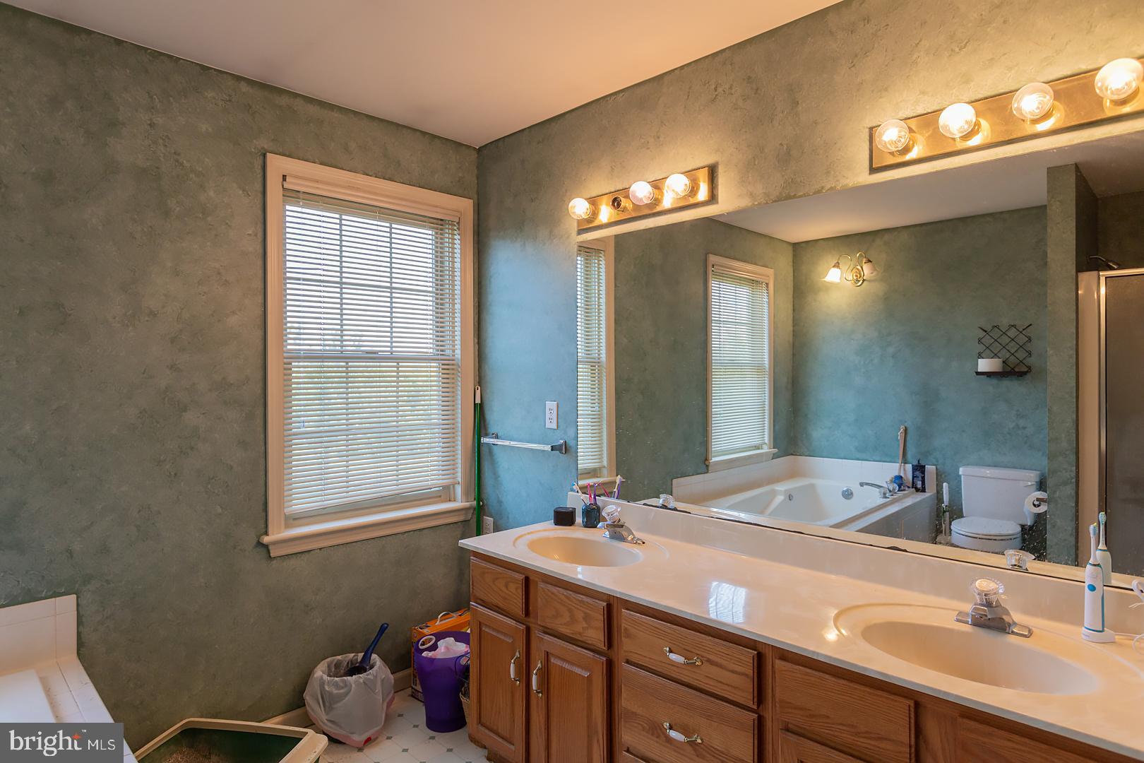 32 Diane Avenue Lititz, PA 17543 - Photo 36 of 61 Master bath