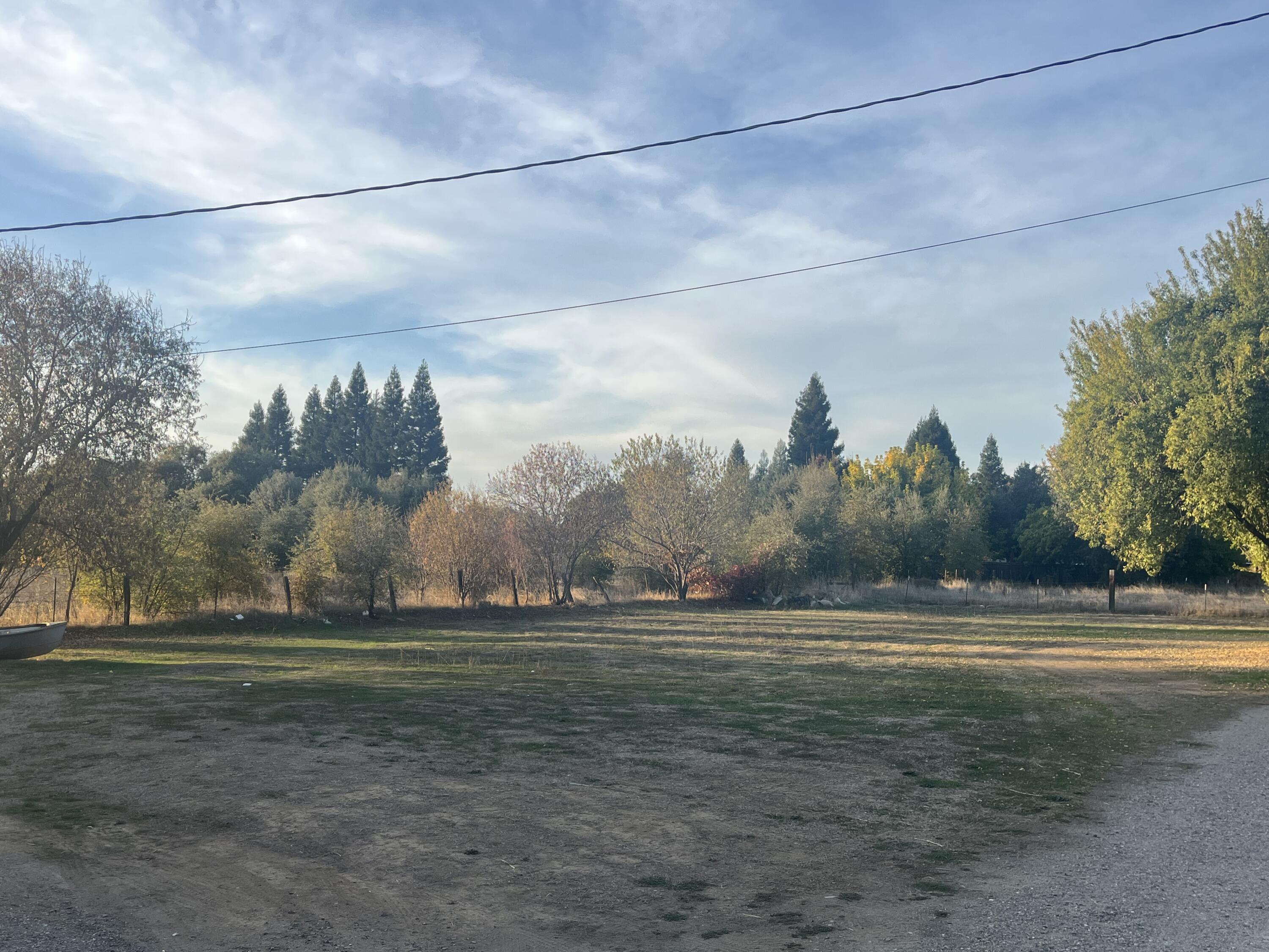 566 Roundup Avenue Red Bluff, CA 96080 - Photo 4 of 16 a view of a big yard