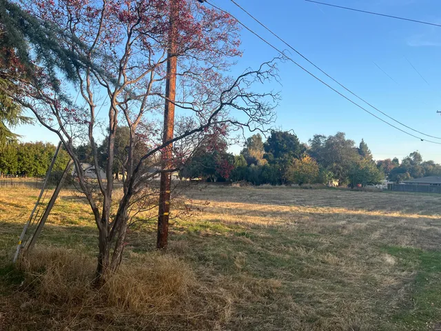 a house view with a backyard space