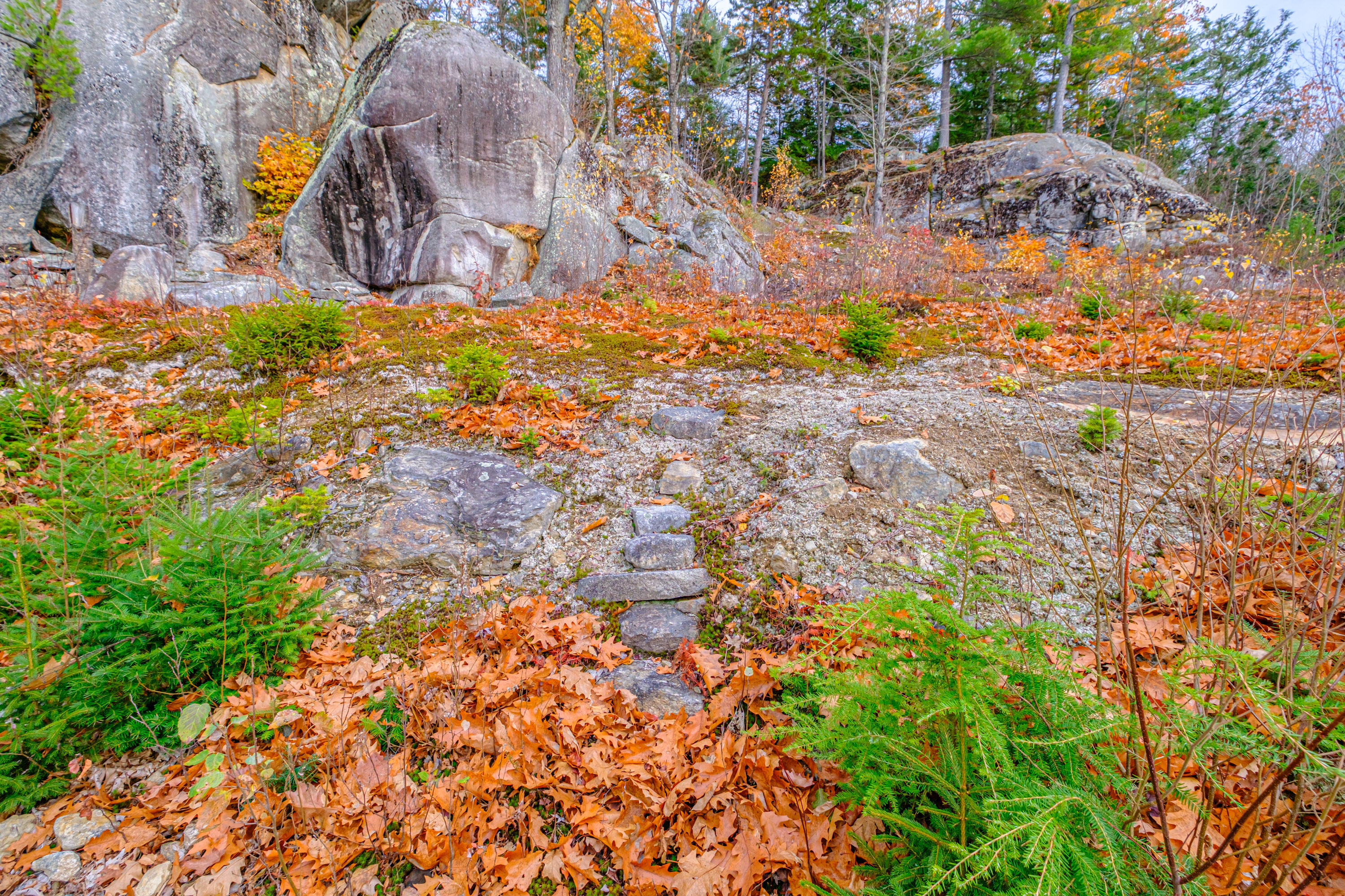 304 Dunn Road Norway, ME 04268 - Photo 106 of 121 20251103gp-61103