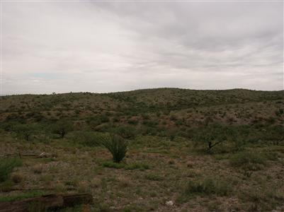 0 West Bell Road Benson, AZ 85602 - Photo 2 of 4 Gallery Image 2