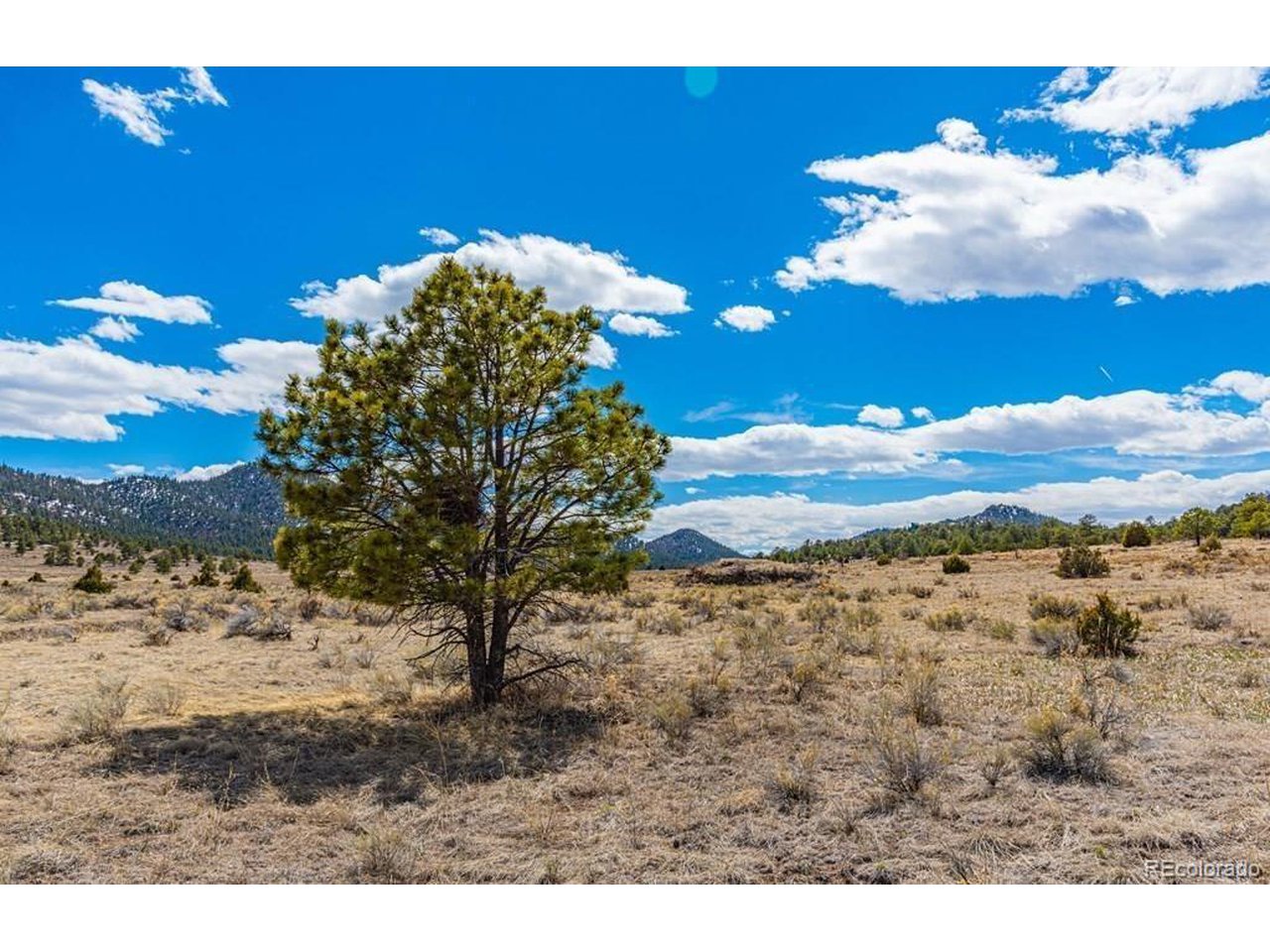 36 Marcey Road Westcliffe, CO 81252 - Photo 21 of 25 a view of a yard