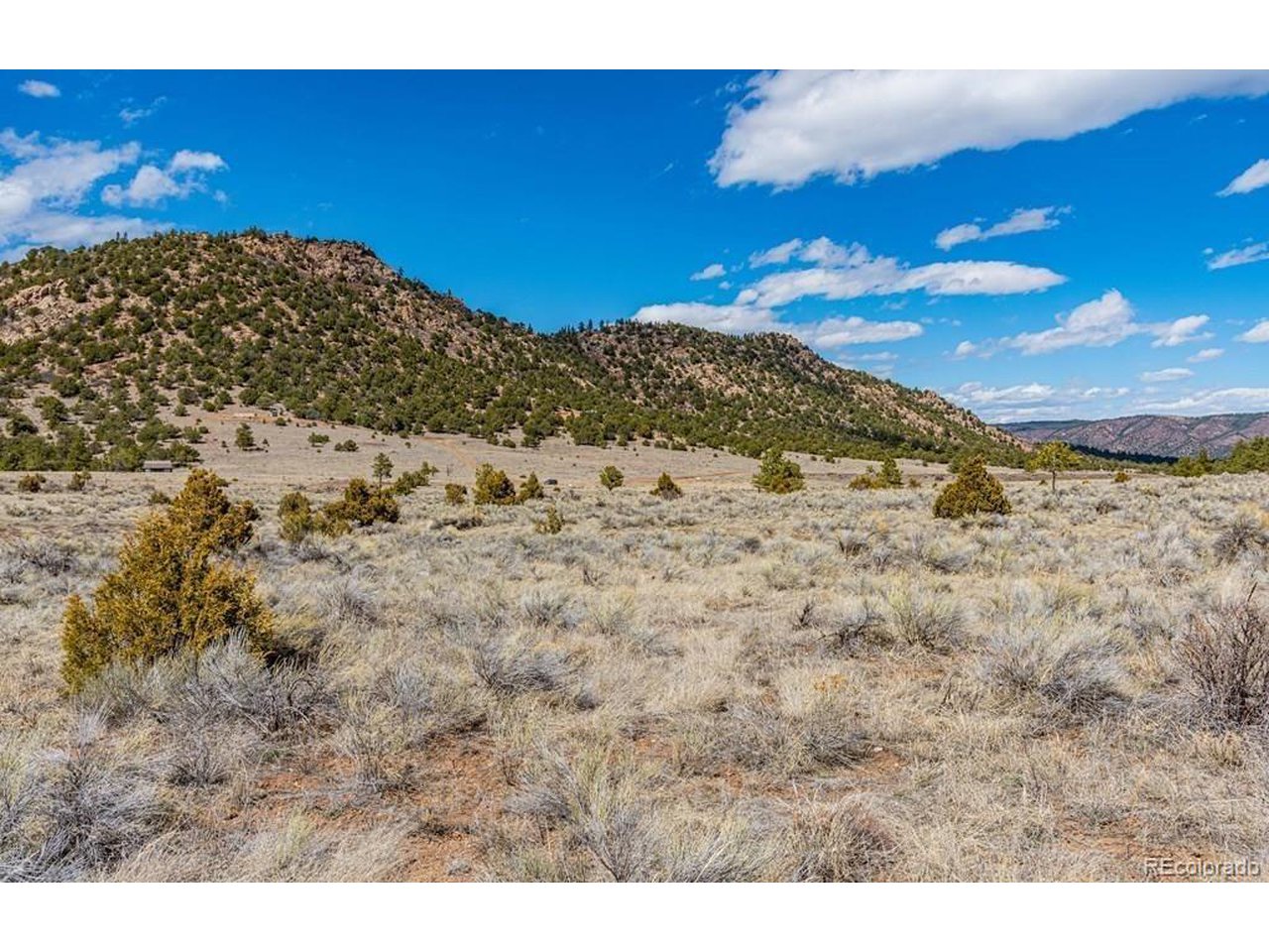 36 Marcey Road Westcliffe, CO 81252 - Photo 25 of 25 a view of a dry yard with mountains in the background