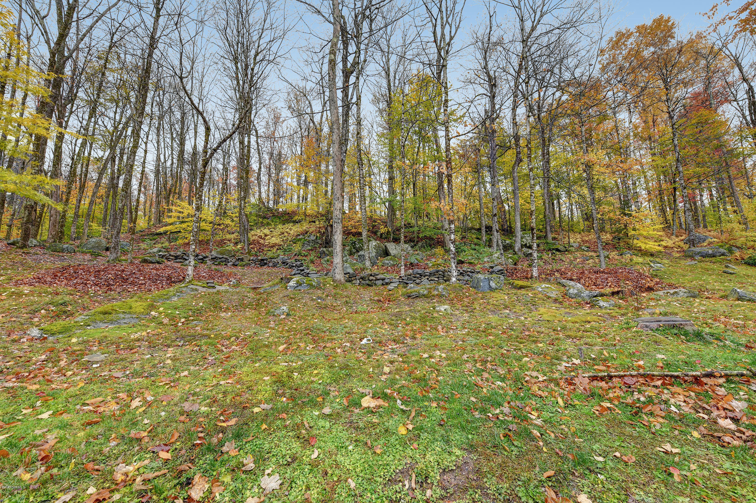 99 Jacobs Hollow Road Becket, MA 01223 - Photo 38 of 39 a backyard of a house with lots of green space