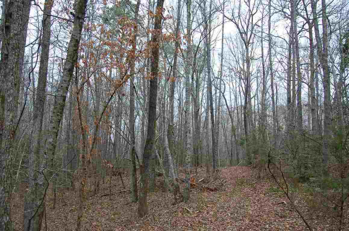 0 Hamlin Road, Unit TRACT 5 Easley, SC 29642 - Photo 5 of 10 Gallery Image 5
