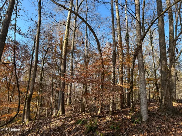 $192,500 | Henderson Road, Bentonia, MS 39040