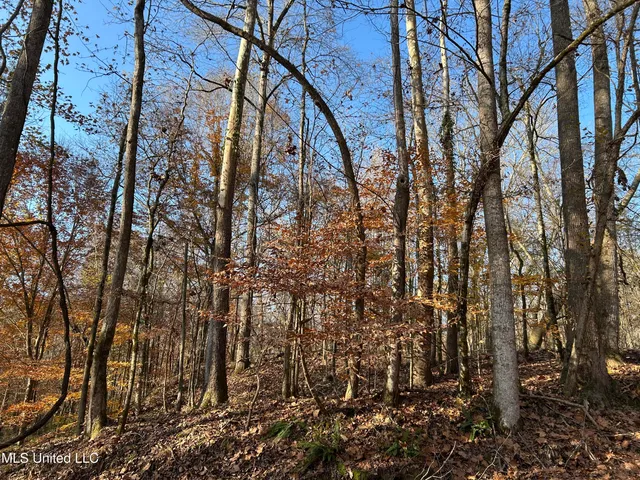 $192,500 | Henderson Road, Bentonia, MS 39040