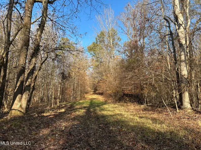$192,500 | Henderson Road, Bentonia, MS 39040