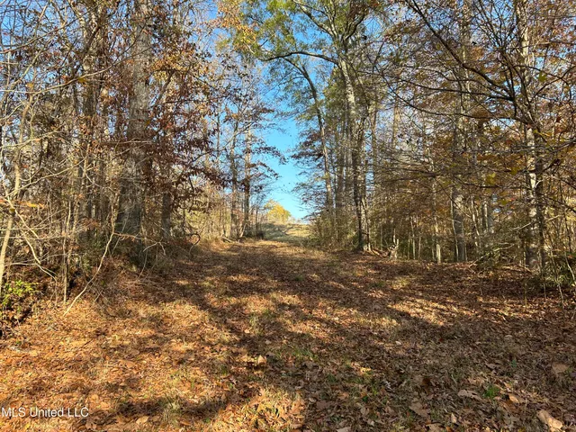 $192,500 | Henderson Road, Bentonia, MS 39040