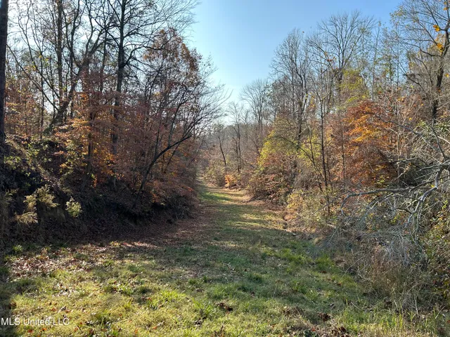 $192,500 | Henderson Road, Bentonia, MS 39040