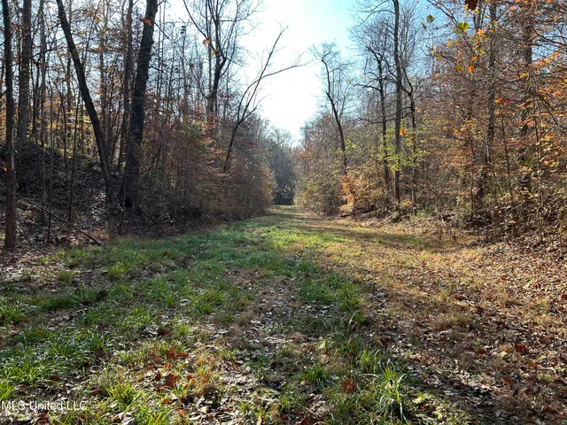 $192,500 | Henderson Road, Bentonia, MS 39040