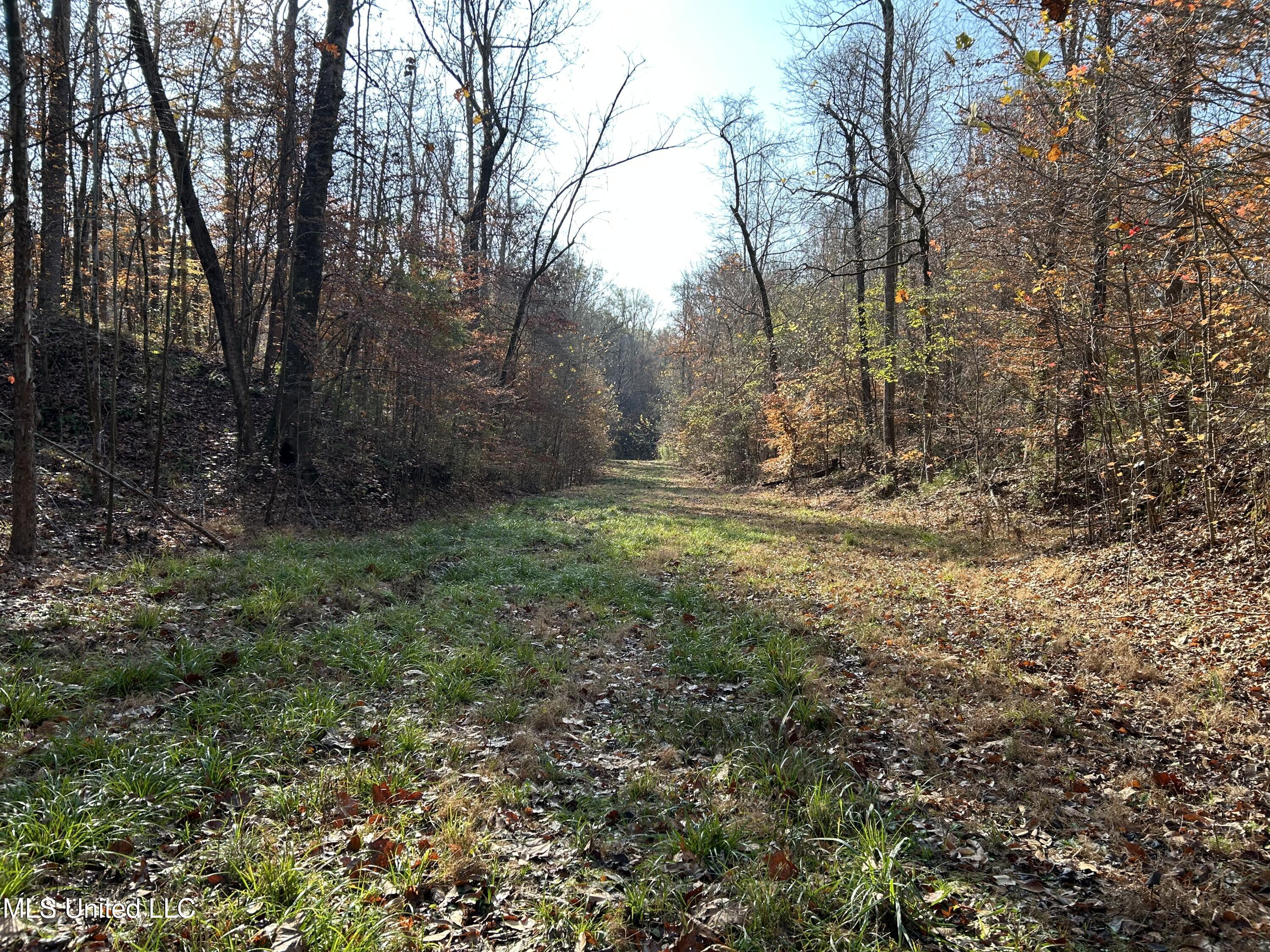 Henderson Road Bentonia, MS 39040 - Photo 16 of 59 Photo Dec 12 2025, 9 27 21 AM