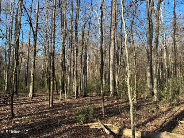 $192,500 | Henderson Road, Bentonia, MS 39040