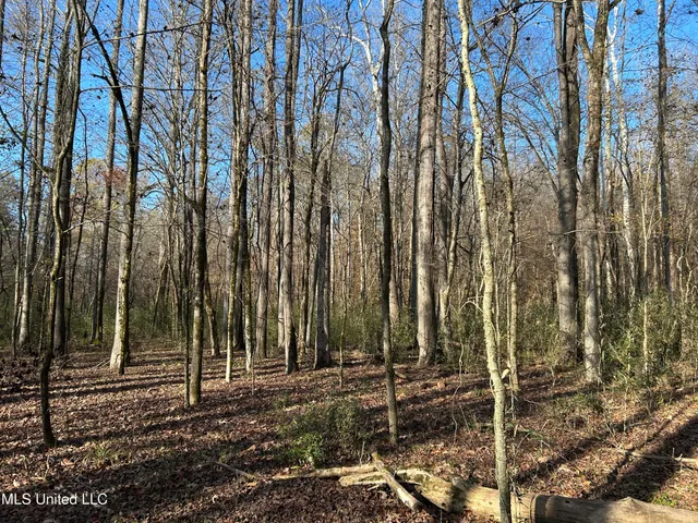 $192,500 | Henderson Road, Bentonia, MS 39040