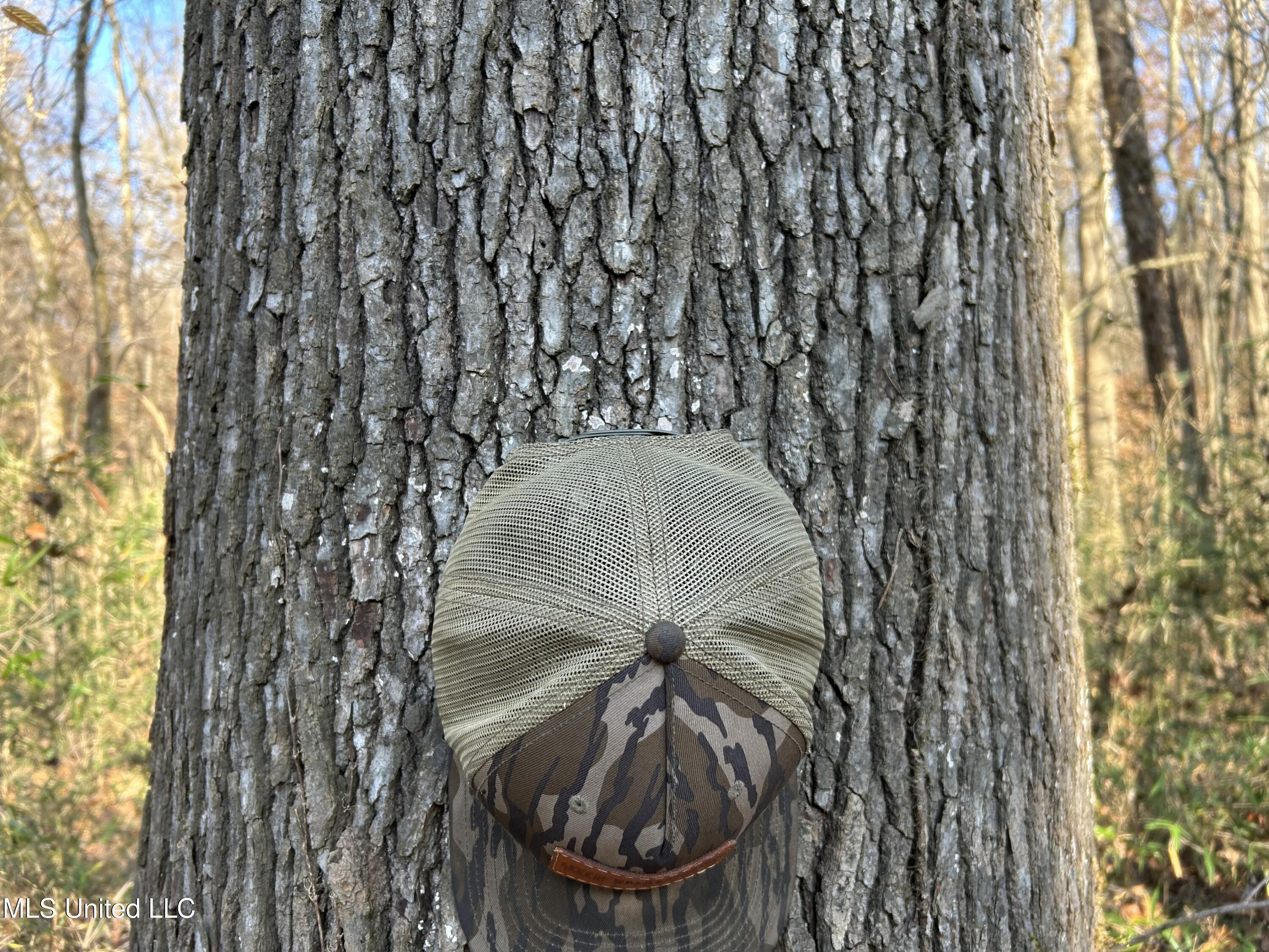Henderson Road Bentonia, MS 39040 - Photo 18 of 59 Photo Dec 12 2025, 9 28 52 AM