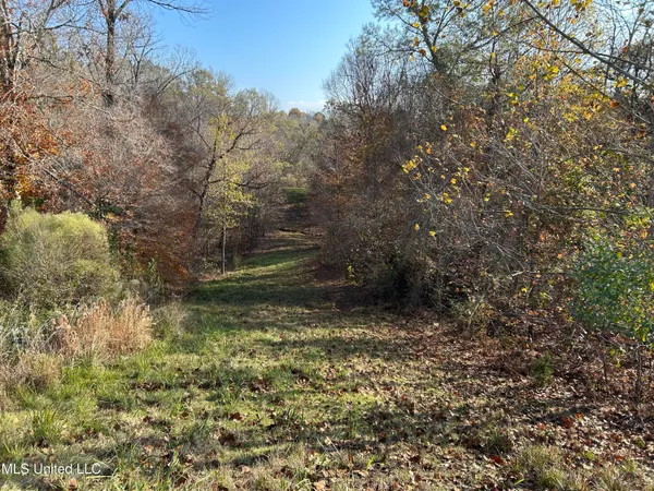 $192,500 | Henderson Road, Bentonia, MS 39040