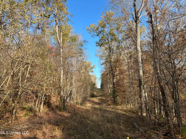 $192,500 | Henderson Road, Bentonia, MS 39040