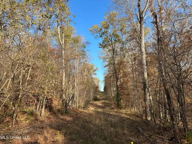 $192,500 | Henderson Road, Bentonia, MS 39040