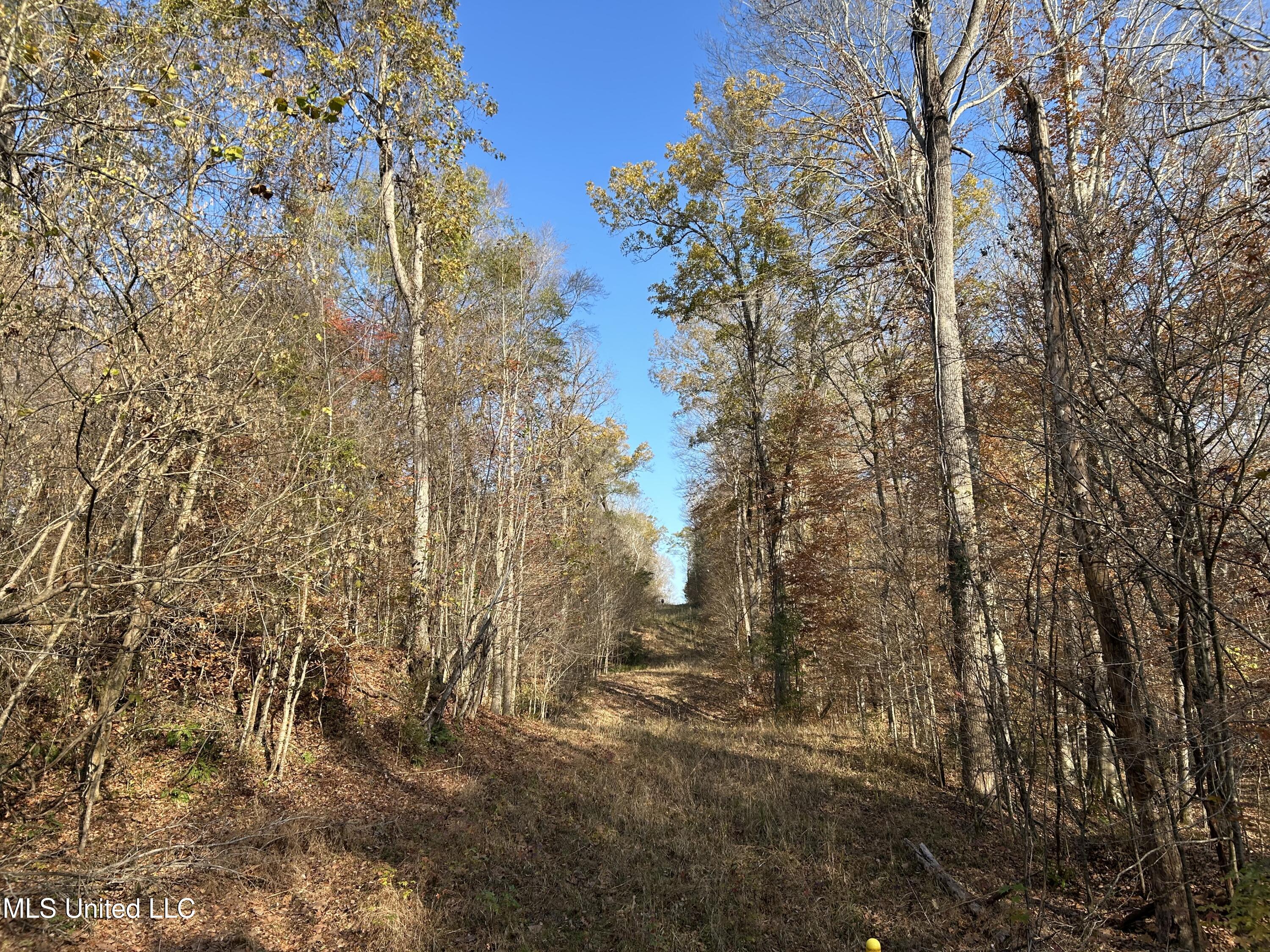 Henderson Road Bentonia, MS 39040 - Photo 21 of 59 Photo Dec 12 2025, 9 33 37 AM