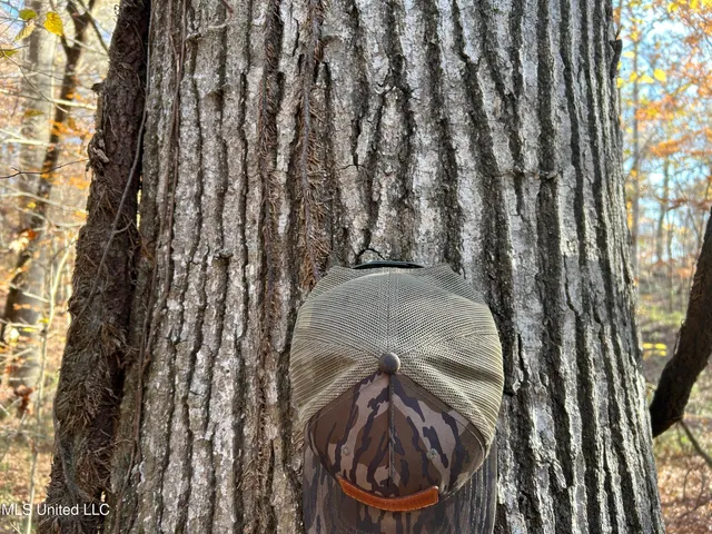 $192,500 | Henderson Road, Bentonia, MS 39040