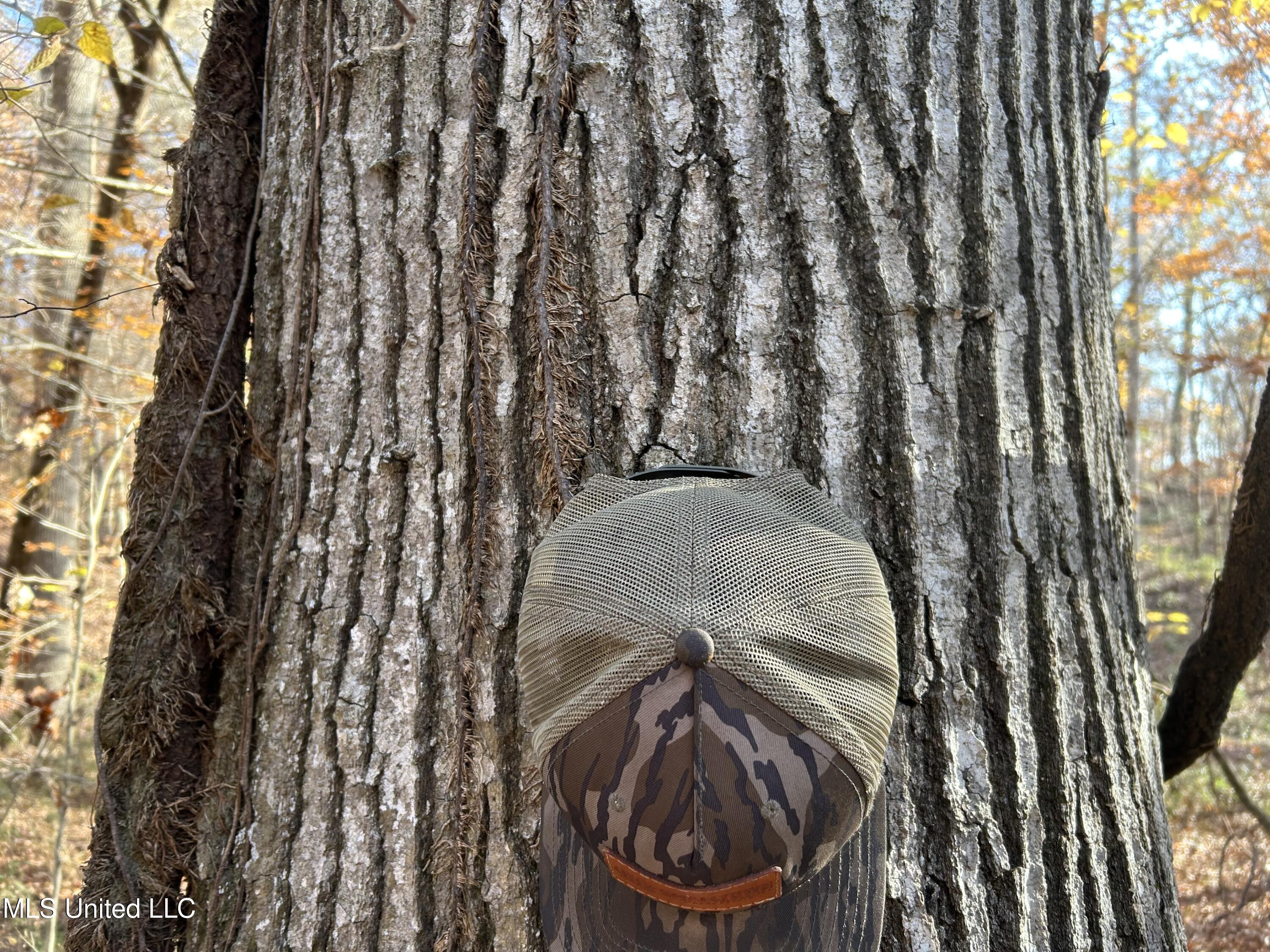 Henderson Road Bentonia, MS 39040 - Photo 22 of 59 Photo Dec 12 2025, 9 34 13 AM