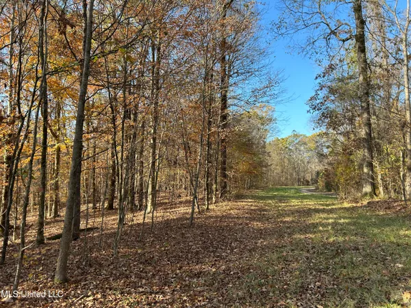 $192,500 | Henderson Road, Bentonia, MS 39040