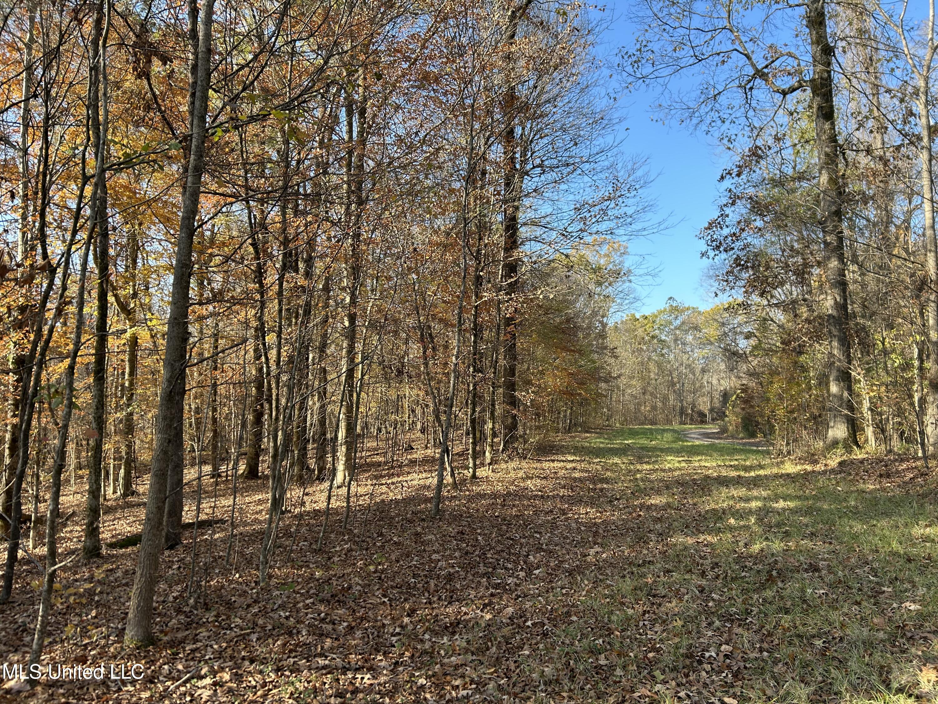 Henderson Road Bentonia, MS 39040 - Photo 24 of 59 Photo Dec 12 2025, 9 37 41 AM