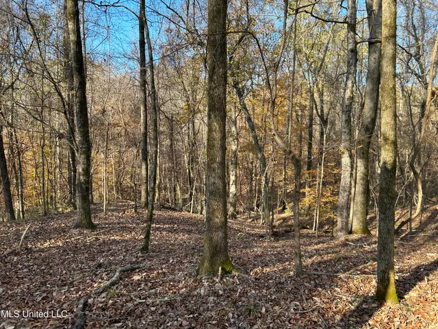 $192,500 | Henderson Road, Bentonia, MS 39040