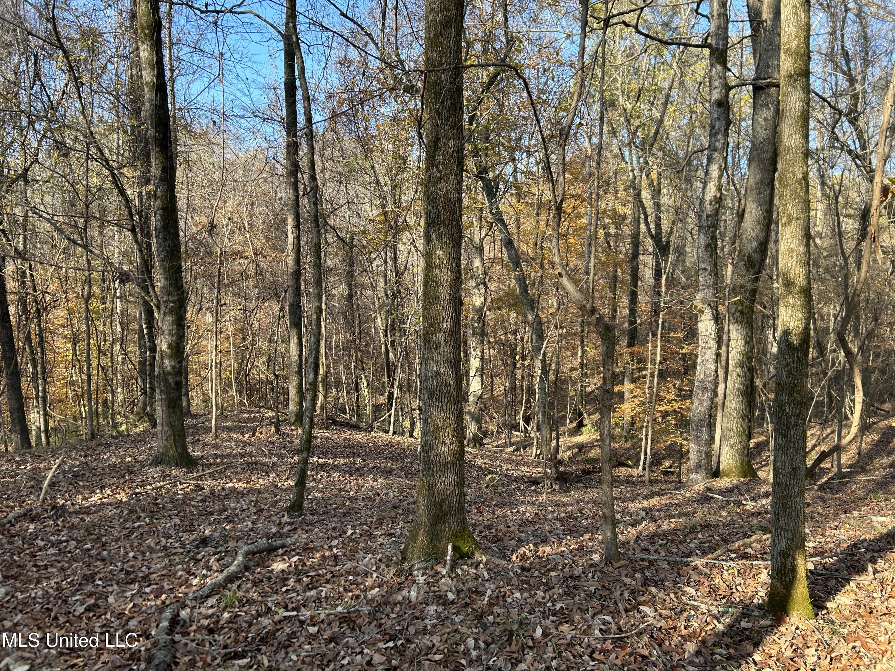 Henderson Road Bentonia, MS 39040 - Photo 25 of 59 Photo Dec 12 2025, 9 39 32 AM